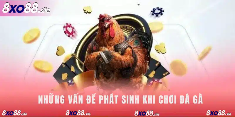 Những vấn đề phát sinh khi chơi đá gà tại XO88