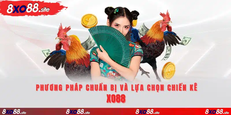 Những phương pháp chuẩn bị và lựa chọn chiến kê tại XO88