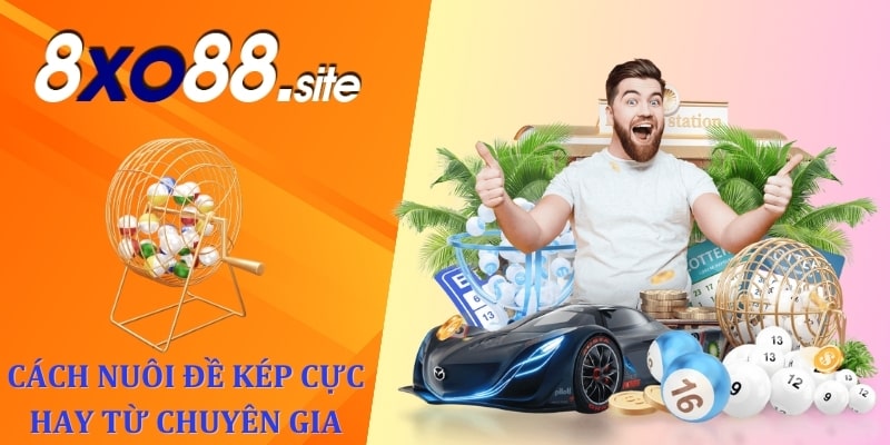 Cách nuôi đề kép cực hay từ chuyên gia