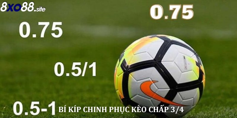 Bí kíp chinh phục kèo chấp 0.75 hiệu quả